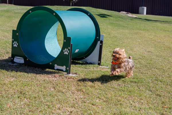 Copeland Leash Free Zone photo 1